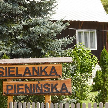 Sielanka Pieninska Villa Kroscienko nad Dunajcem Exterior photo